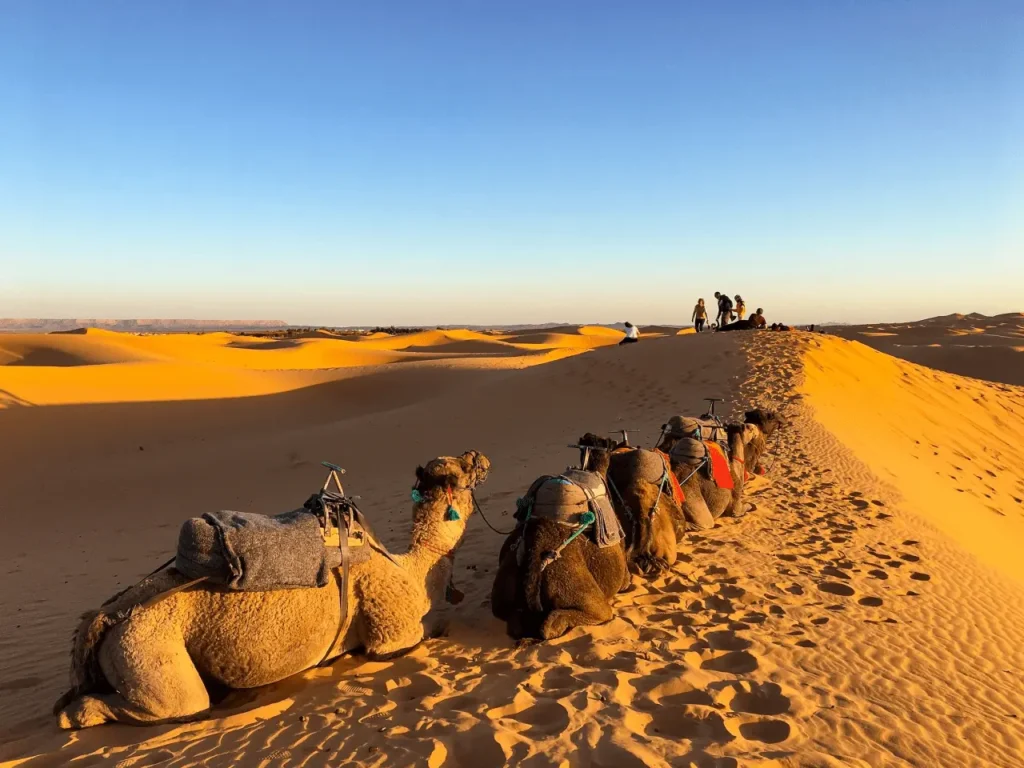 Middle-Eastern-Desert-Oilfields-High-Temperature-SandDust-Environment